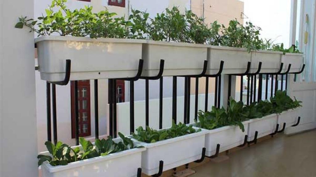 Jak wybrać odpowiednie rośliny balkonowe całoroczne