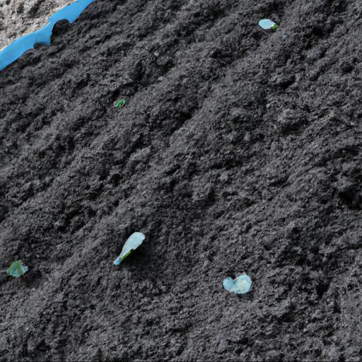 Jak przygotować glebę do uprawy warzyw kapustnych
