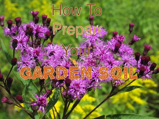 Jak przygotować glebę do uprawy kwiatów ogrodowych łatwych w uprawie