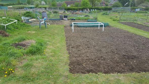 Jak przygotować glebę do zakładania sadu na działce