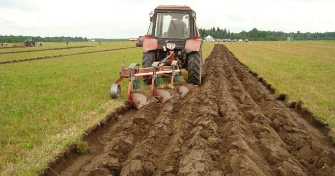 Jak przygotować glebę do siewu