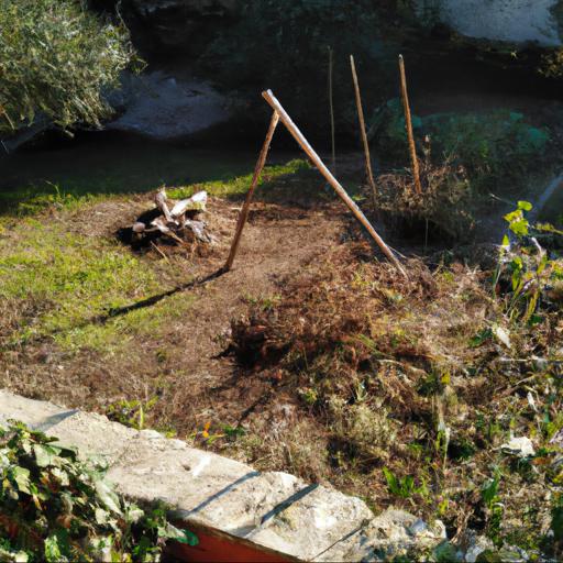 Jak zacząć odnowę starego ogrodu