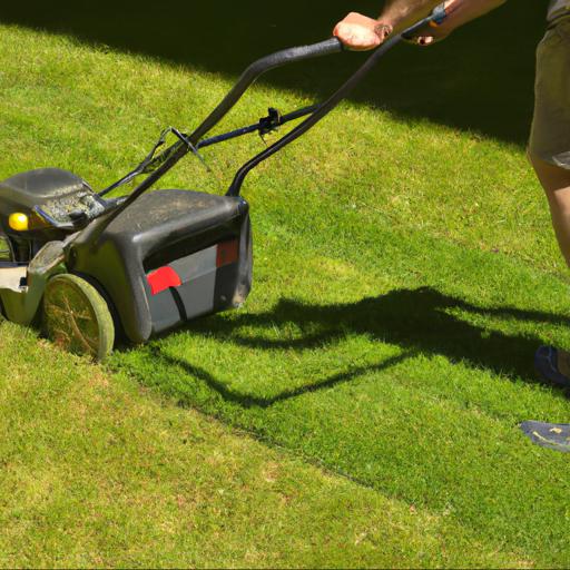 Jak zadbać o trawnik