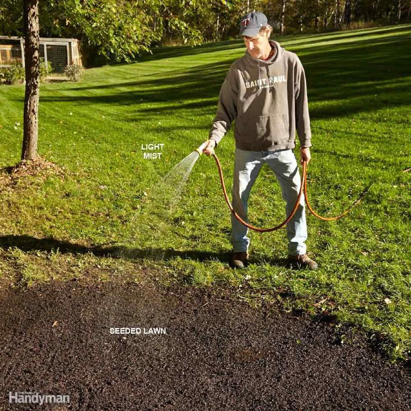 Jak podlewać trawnik