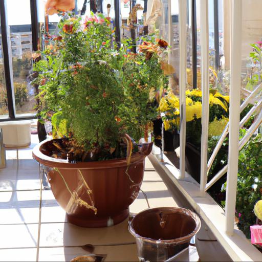 Jak zapobiec chorobom i szkodnikom jesiennych kwiatów na balkonie