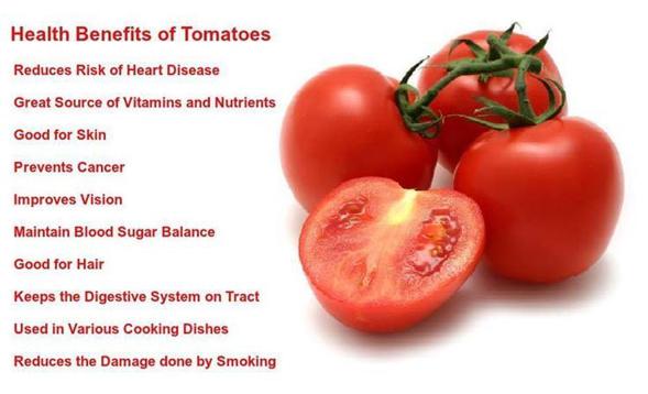 Pomidory co to są i jakie są ich zalety