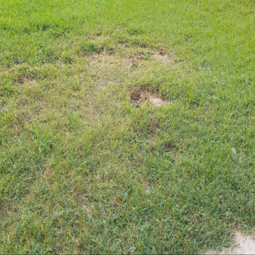 Jakie są naturalne metody zwalczania chwastów na trawniku