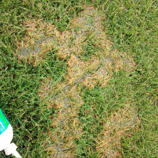 Jakie są zalety i wady stosowania chemicznych metod zwalczania chwastów na trawniku