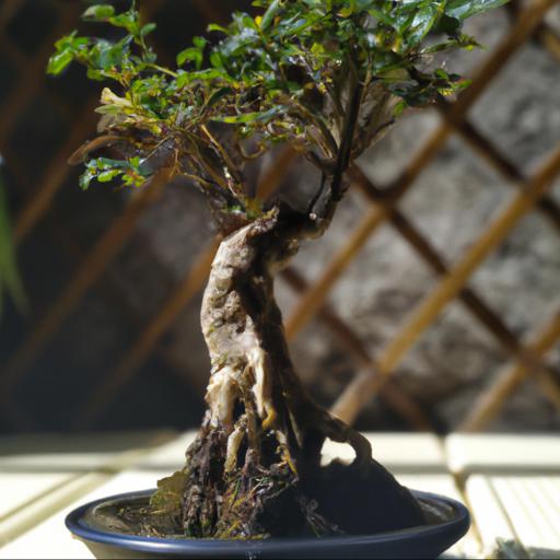 Jakie są zalety pielęgnacji drzewka bonsai w domu