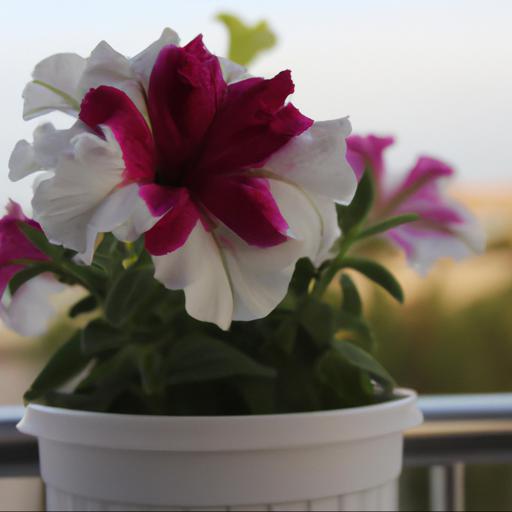 Jakie są najlepsze techniki uprawy jesiennych kwiatów na balkonie