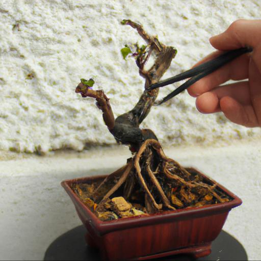 Jakie są najczęstsze błędy popełniane przy pielęgnacji drzewka bonsai w domu