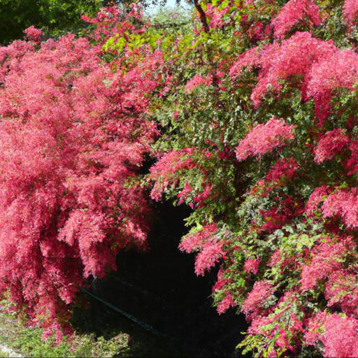 Jakie są najpopularniejsze krzewy ozdobne kwitnące od wiosny do jesieni