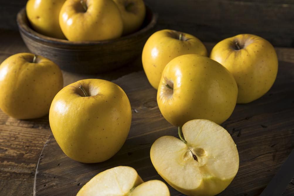 Jakie są najpopularniejsze odmiany jabłoni domowej