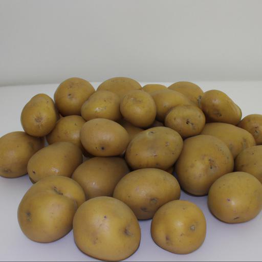 Jakie są najpopularniejsze odmiany ziemniaków
