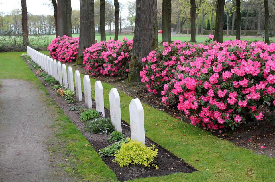 Jakie kwiaty i rośliny są odpowiednie do sadzenia na cmentarzu
