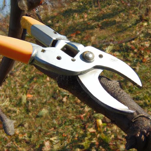 Jakie narzędzia są potrzebne do przycinania drzew owocowych jesienią