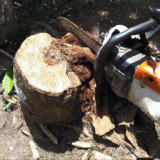 Jakie są zalety stosowania preparatu do usuwania pni i korzeni wyciętych drzew
