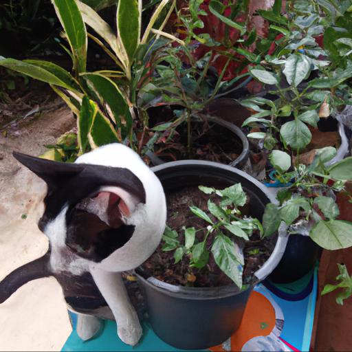 Jakie są zalety stosowania roślin odstraszających koty w ogrodzie